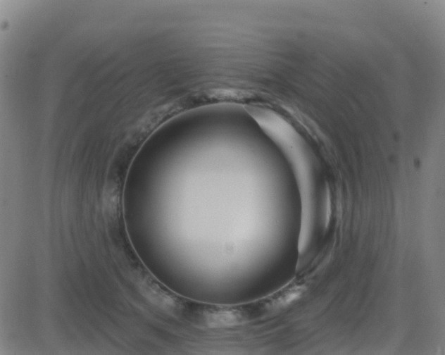 X0000082760513200702021439