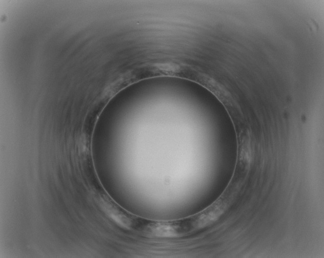 X0000082760518200702021439