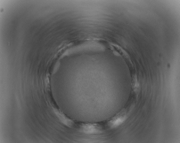 X0000082760523200702021439