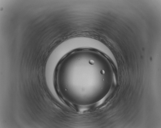 X0000082760558200702021438