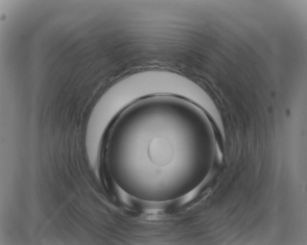 X0000082760564200702021438