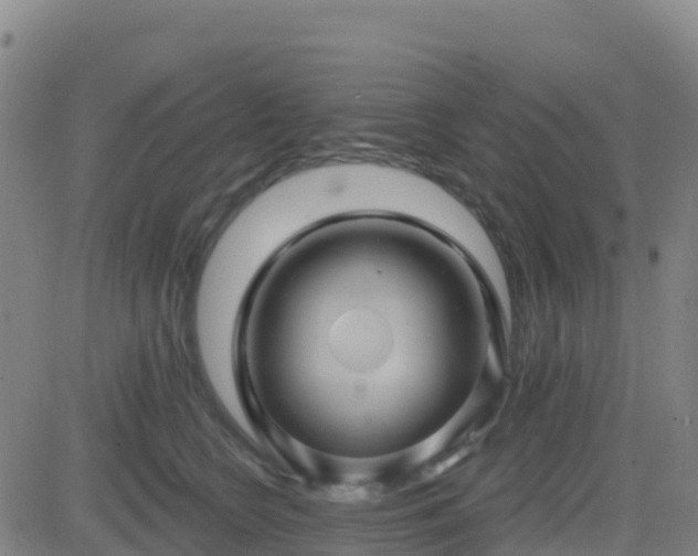 X0000082760566200702021438