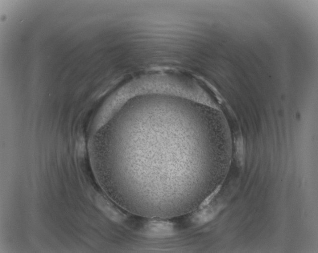 X0000082760617200702021437