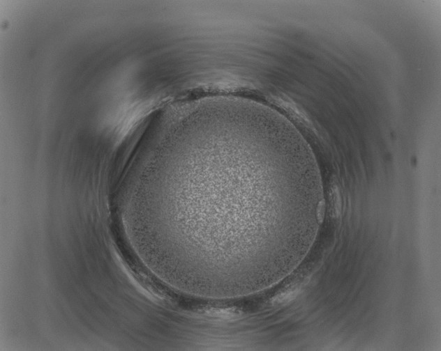 X0000082760638200702021436
