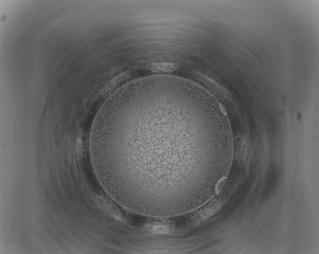 X0000082760655200702021437