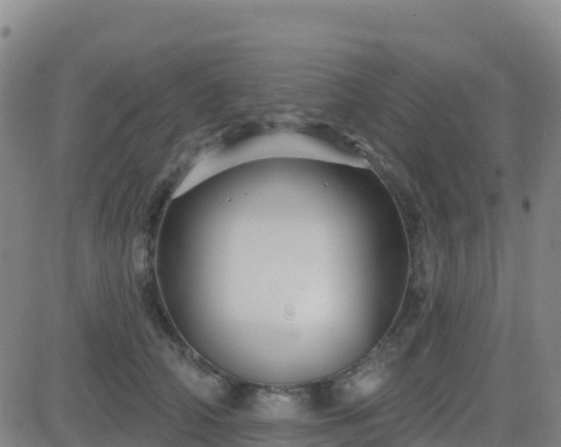 X0000082760706200702021436