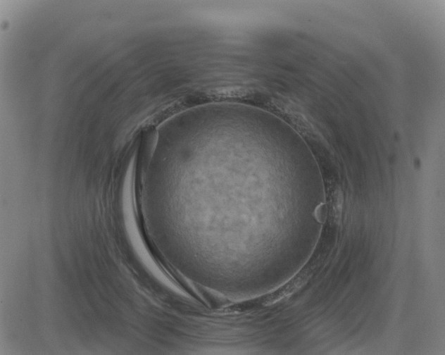 X0000082760746200702021435