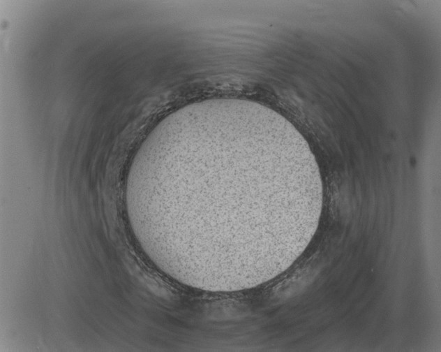 X0000082760769200702021435
