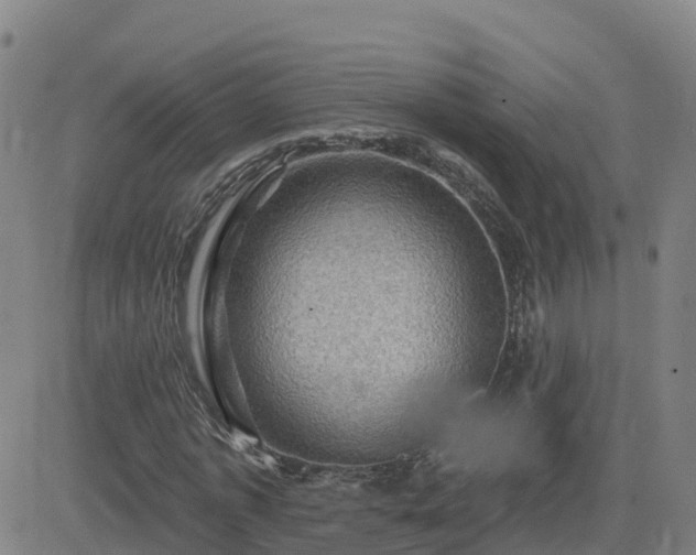 X0000082760773200702021434