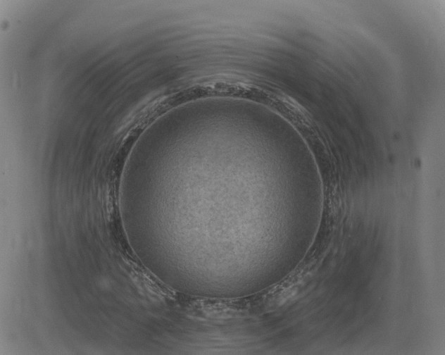 X0000082760774200702021434