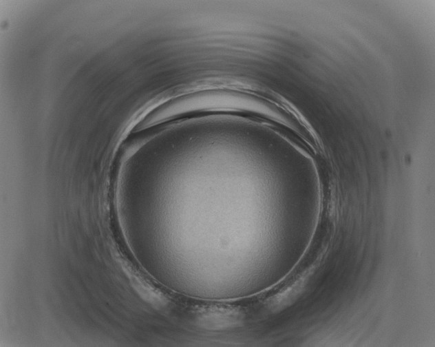X0000082760786200702021434