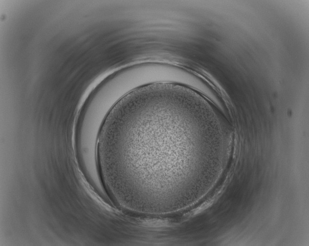 X0000082760788200702021434
