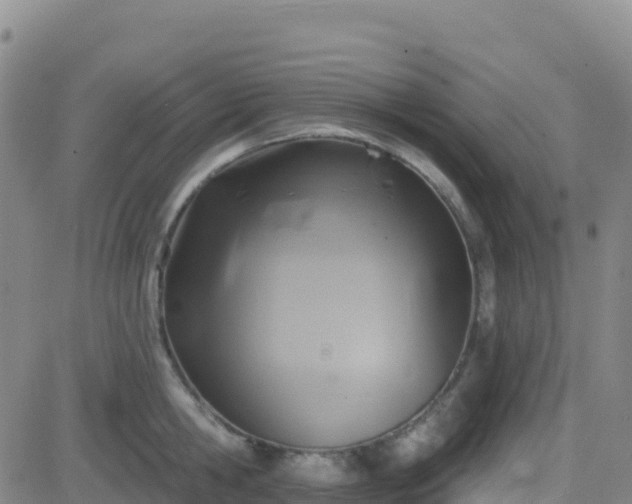 X0000082760806200702021434