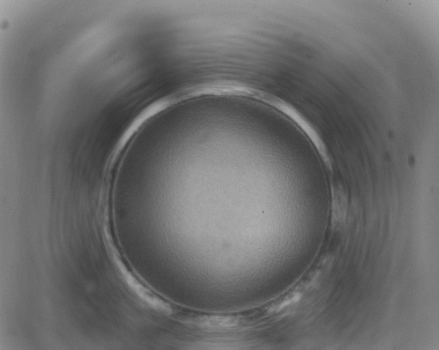 X0000082760861200702021434