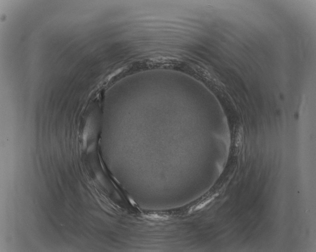 X0000082760868200702021433