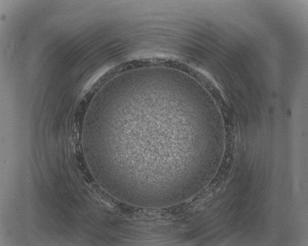 X0000082760871200702021433