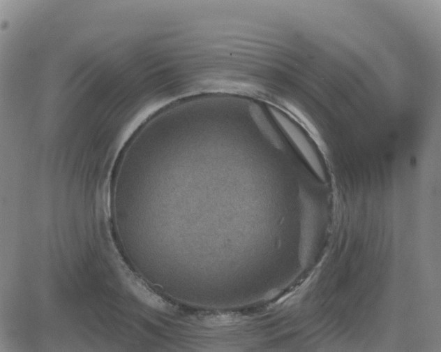 X0000082760891200702021433