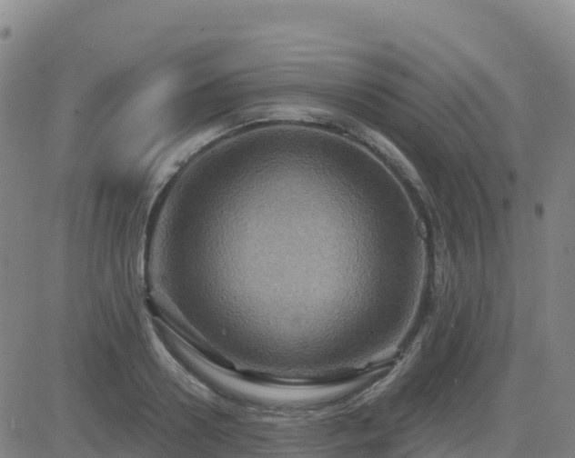 X0000082760938200702021432