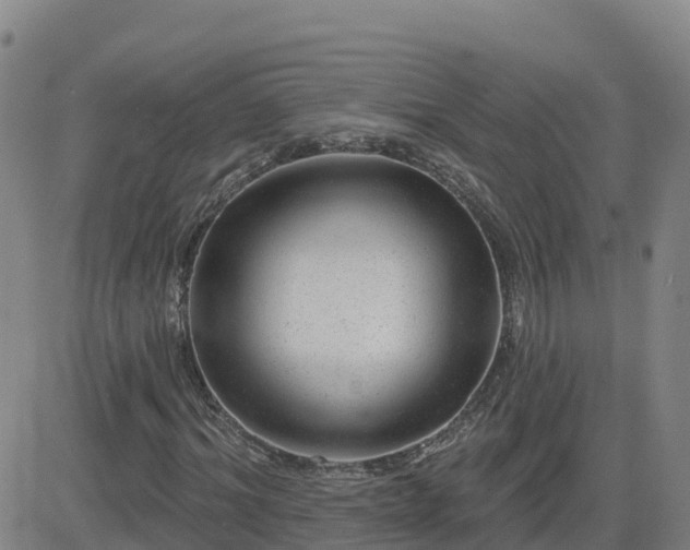 X0000082760964200702021431
