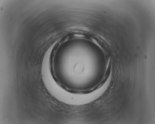 X0000082760965200702021431