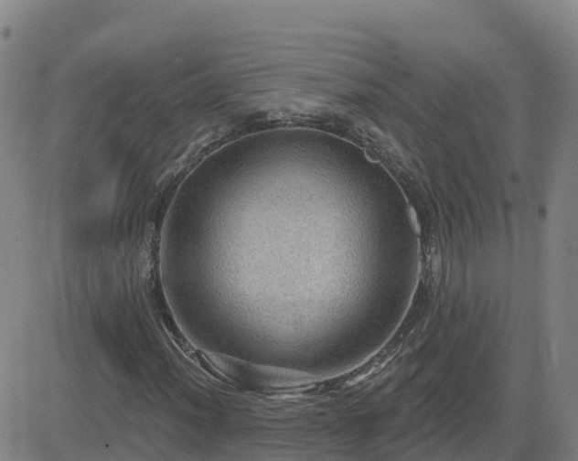 X0000082761012200702021430