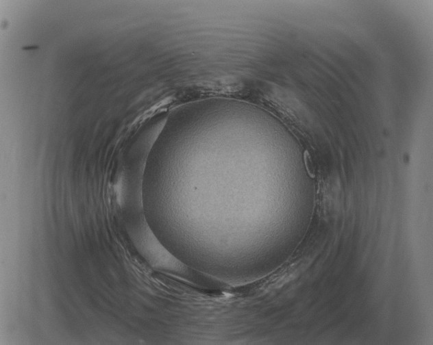 X0000082761058200702021430