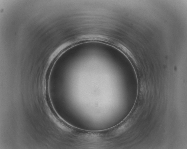 X0000082761082200702021429
