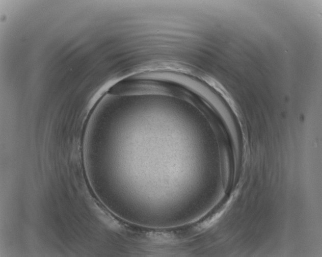 X0000082761089200702021429