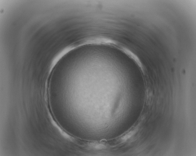 X0000082761103200702021429
