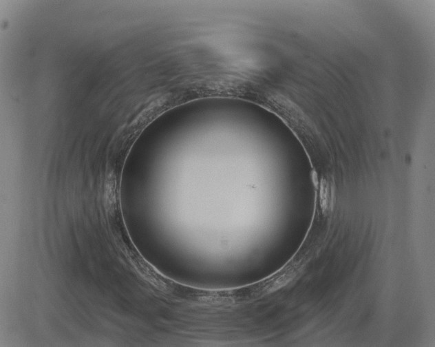 X0000082761107200702021428