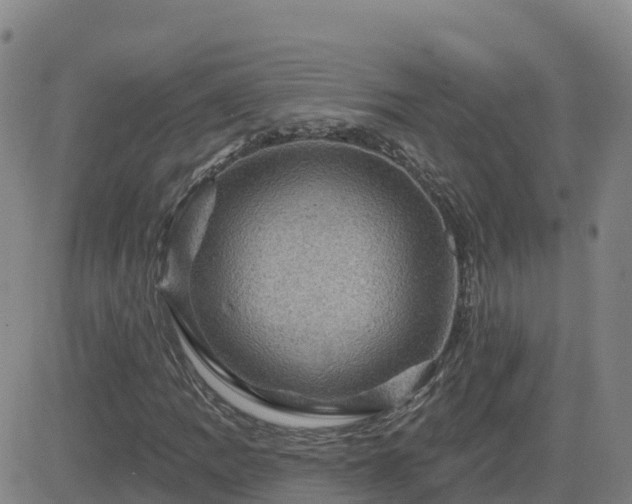 X0000082761109200702021428