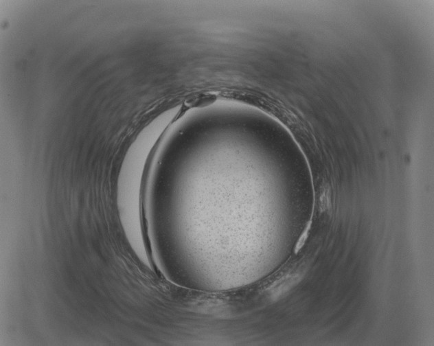 X0000082761156200702021428