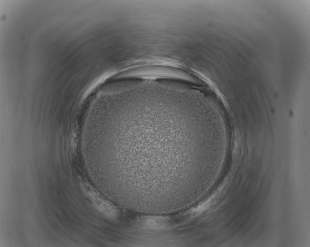 X0000082761163200702021428