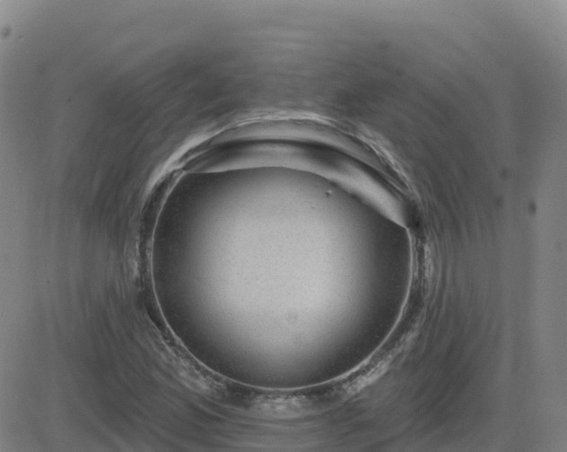 X0000082761165200702021428