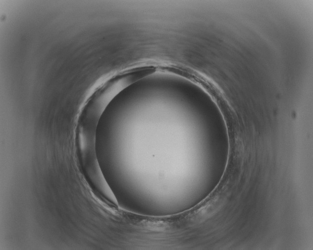 X0000082761168200702021428