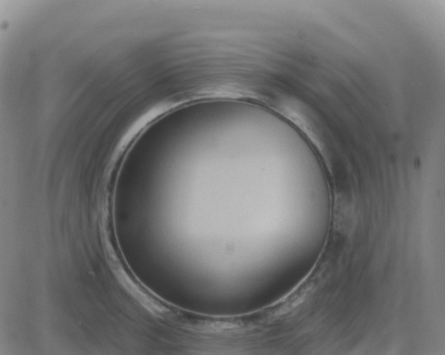 X0000082761187200702021428