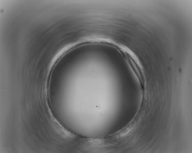 X0000082761191200702021428