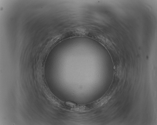 X0000082761201200702021427