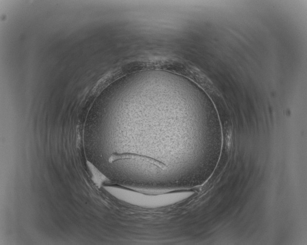 X0000082761204200702021427