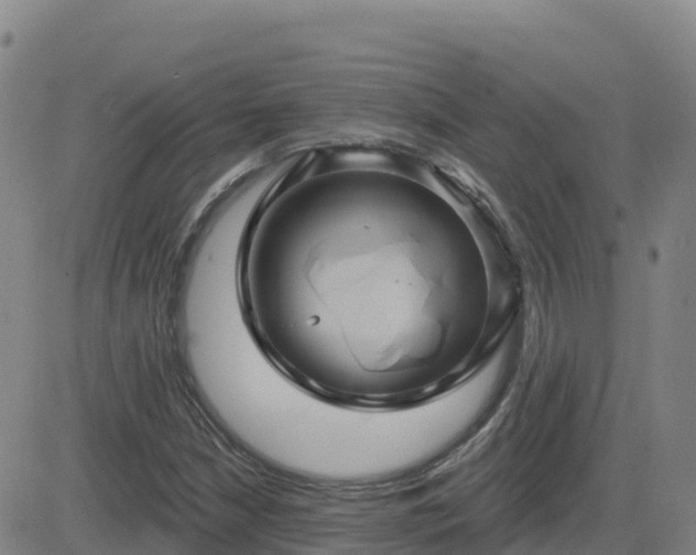 X0000082761210200702021427