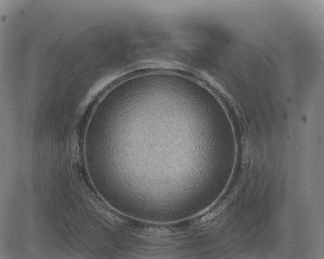 X0000082761215200702021427