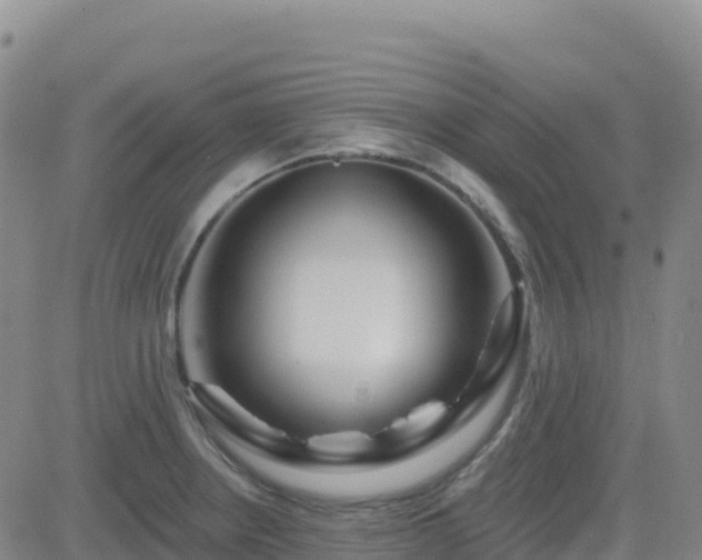 X0000082761234200702021427