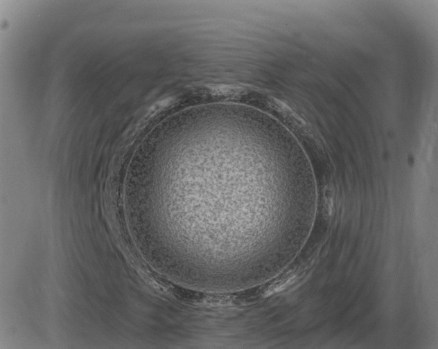 X0000082761249200702021427