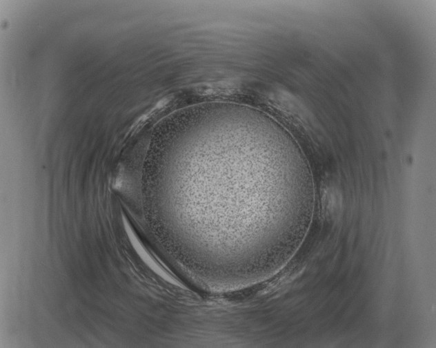 X0000082761250200702021427