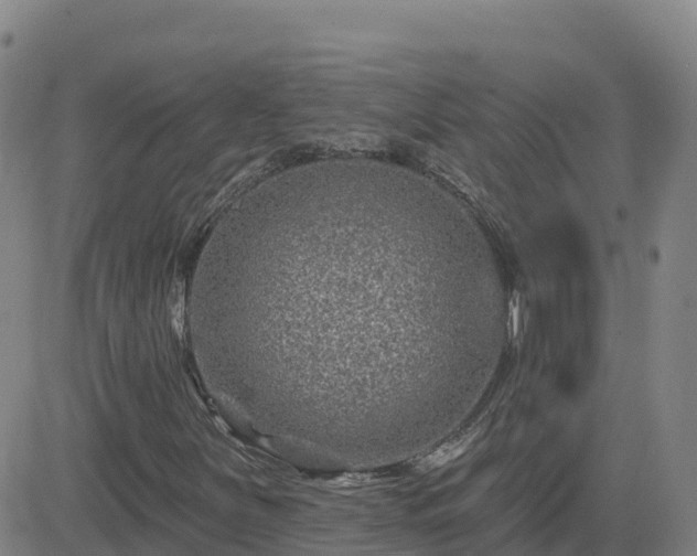X0000082761251200702021427