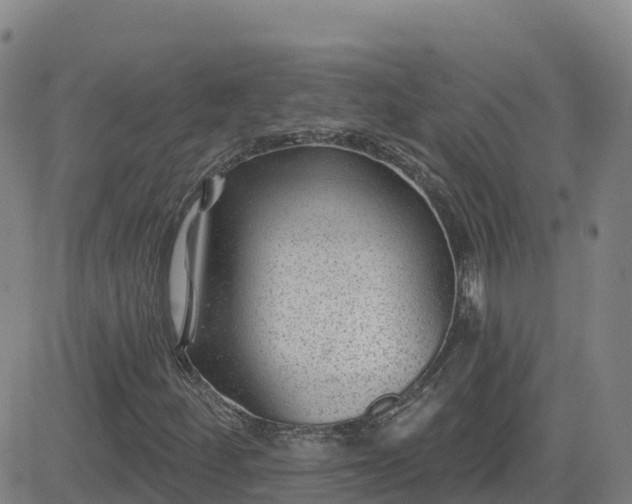 X0000082761252200702021427