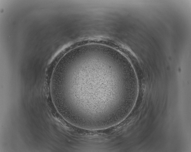 X0000082761256200702021427