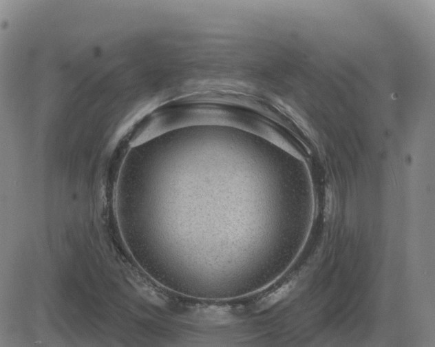 X0000082761261200702021426