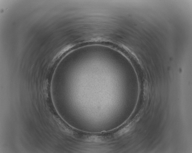 X0000082761265200702021426