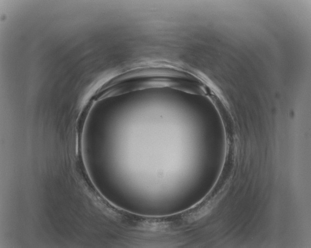 X0000082761269200702021426